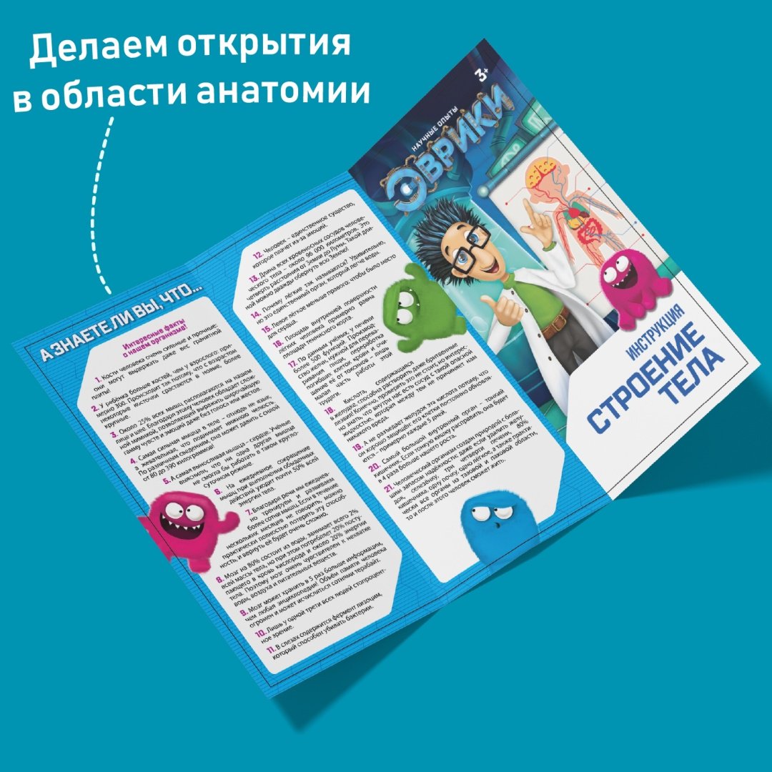 Проектирование и моделирование Эврики Строение тела 2772939 купить,NaN
