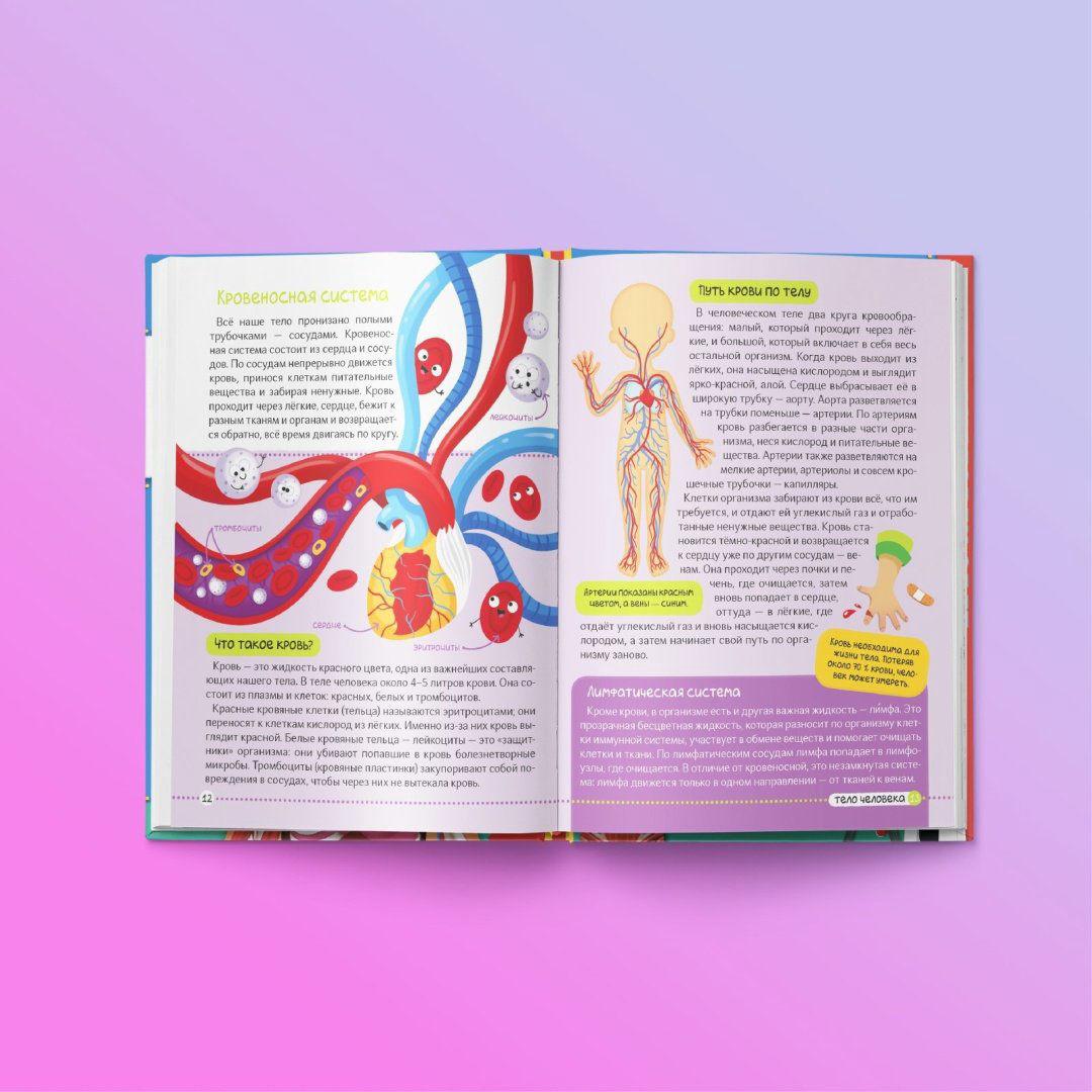 Книга Ю. Соколова: Тело человека купить,2800