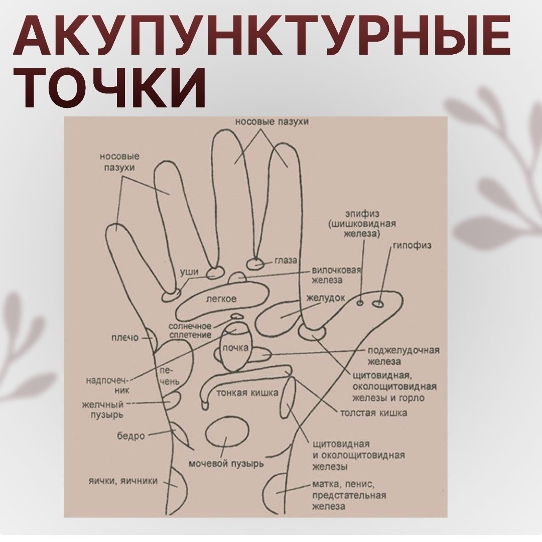Массажер Торг Лайнс Су-Джок мяч акупунктурный купить,NaN