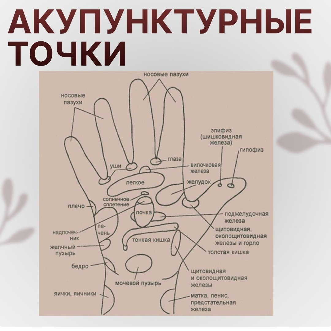 Массажер Торг Лайнс Су-Джок мяч акупунктурный купить,NaN