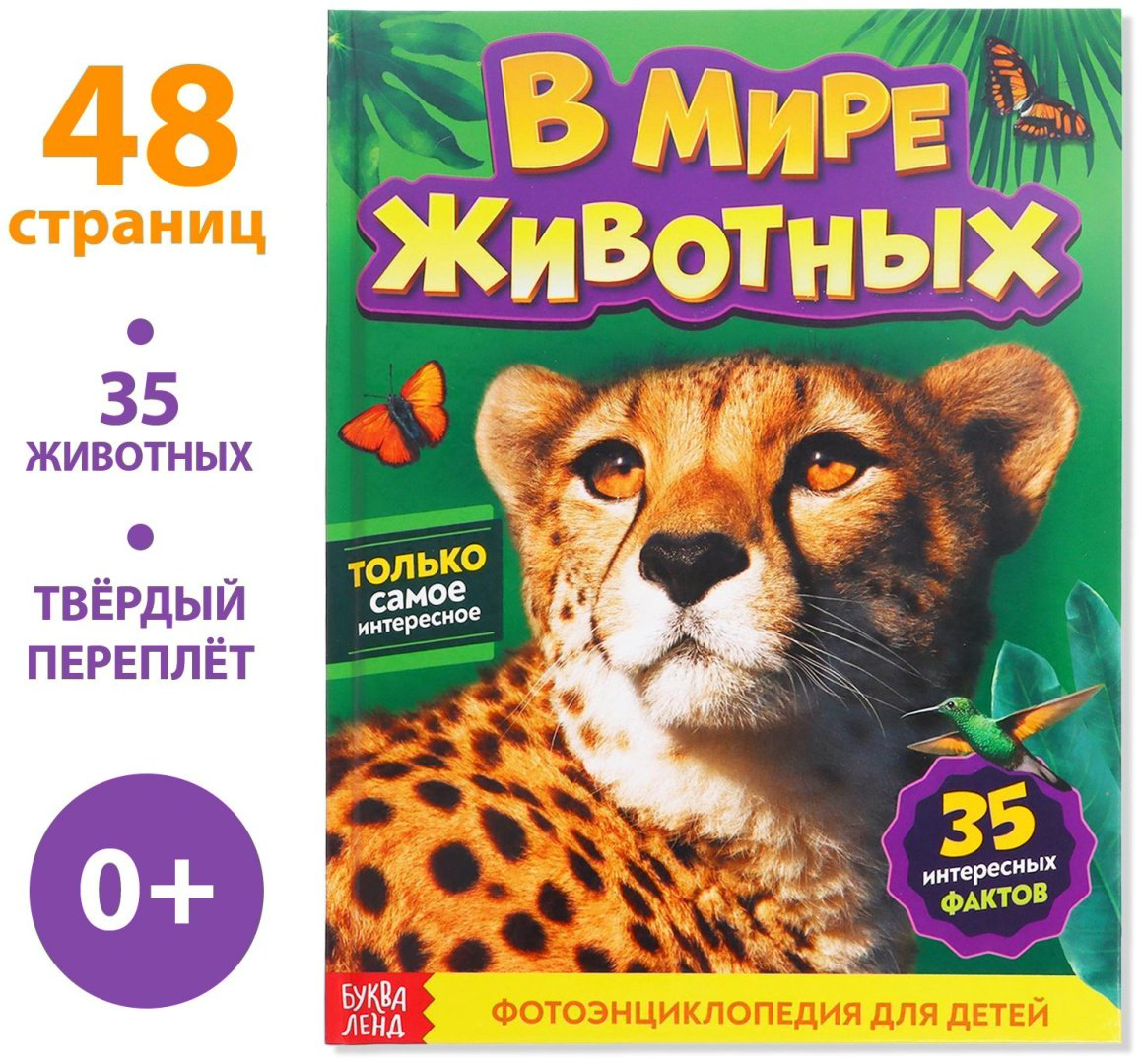 Книга Е.Сачкова: В мире животных купить,NaN