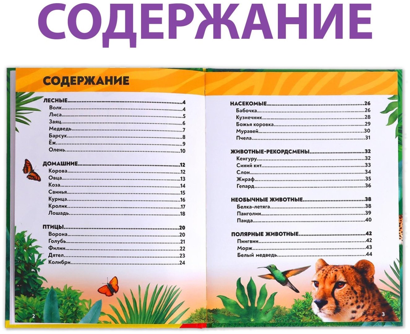 Книга Е.Сачкова: В мире животных купить,NaN