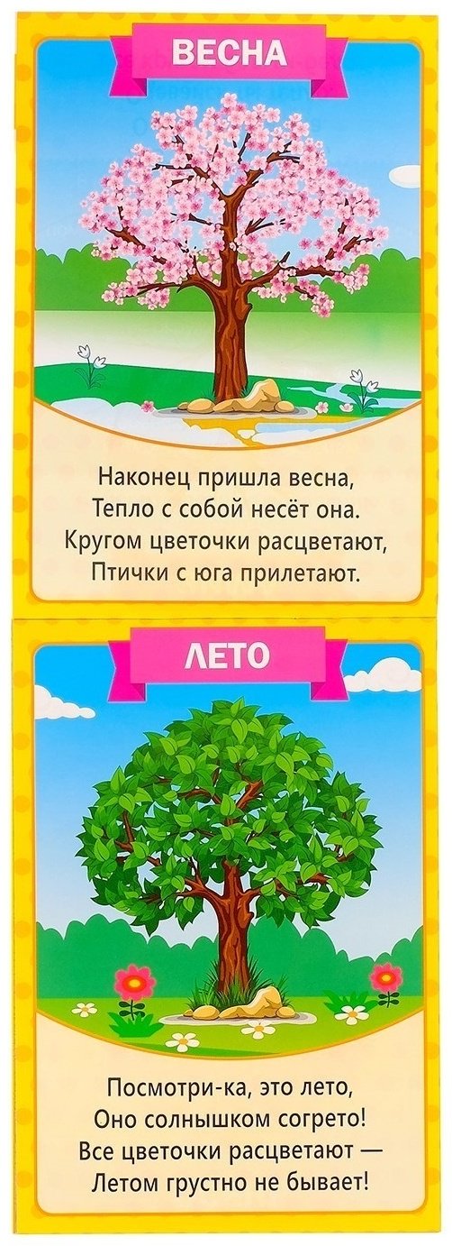 Книга Е.Сачкова: Растём вместе купить,NaN