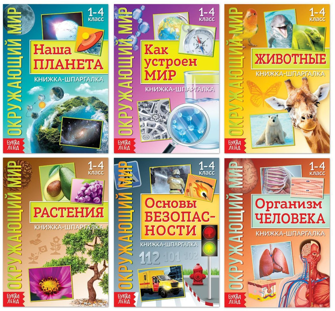 Книга Е.Сачкова: Мир природы и человека купить,NaN