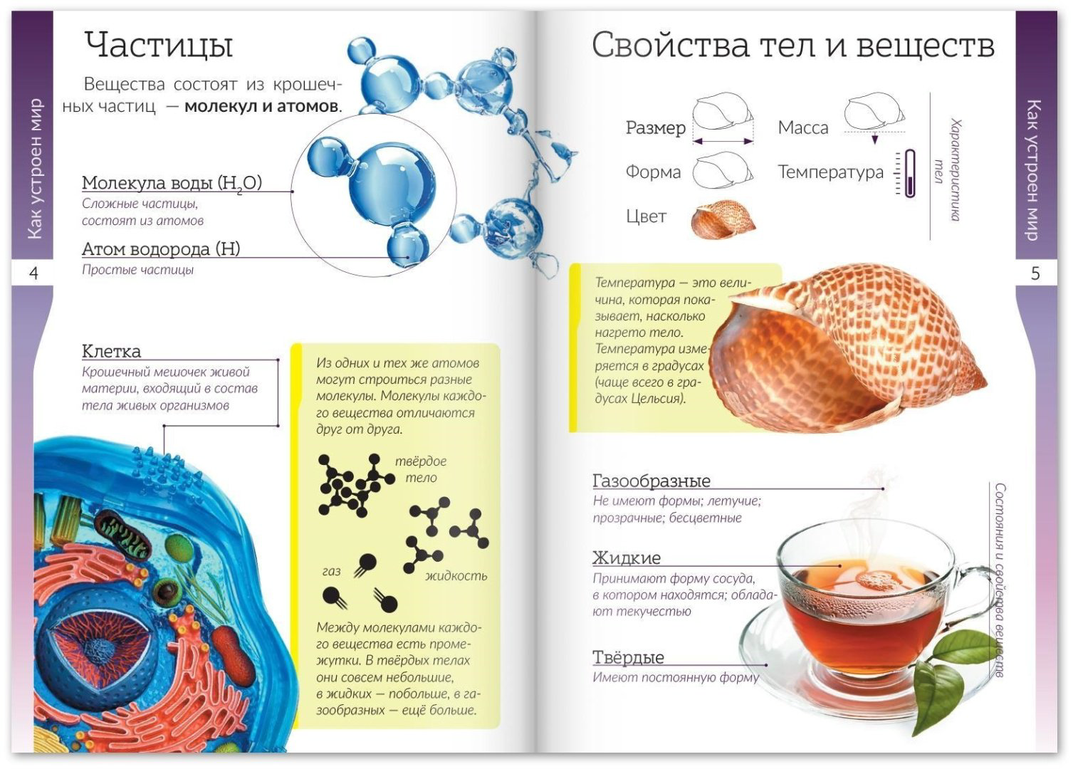 Книга Е.Сачкова: Мир природы и человека купить,NaN