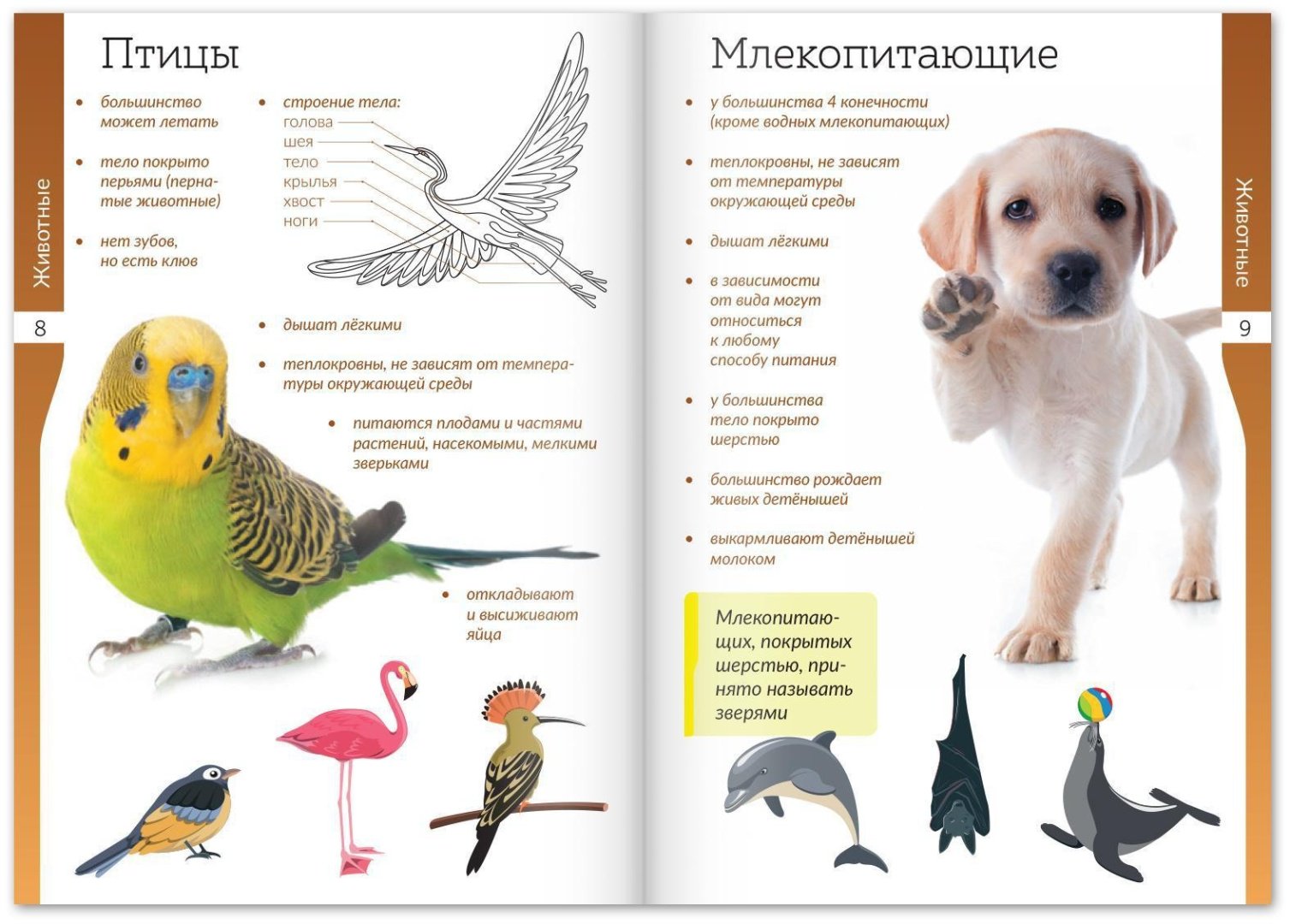 Книга Е.Сачкова: Мир природы и человека купить,NaN