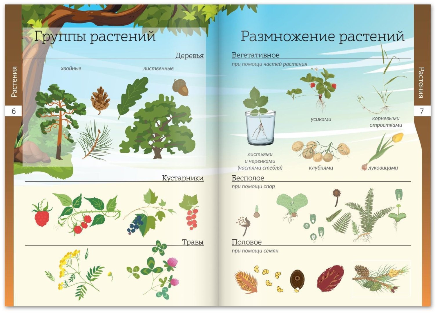 Книга Е.Сачкова: Мир природы и человека купить,NaN