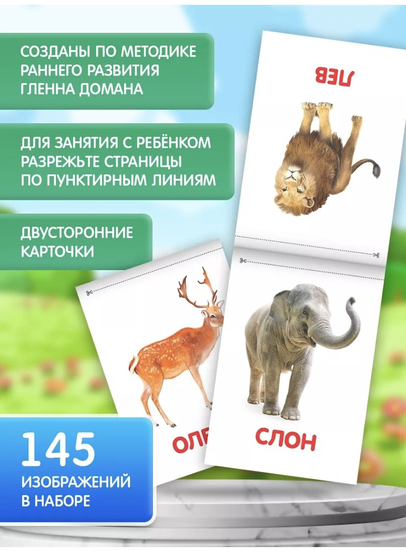 Книжка-игрушка Книги «Карточки Домана на скрепке», набор, 8 шт. по 20 стр. купить,NaN