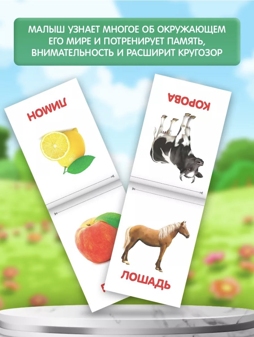 Книжка-игрушка Книги «Карточки Домана на скрепке», набор, 8 шт. по 20 стр. купить,NaN