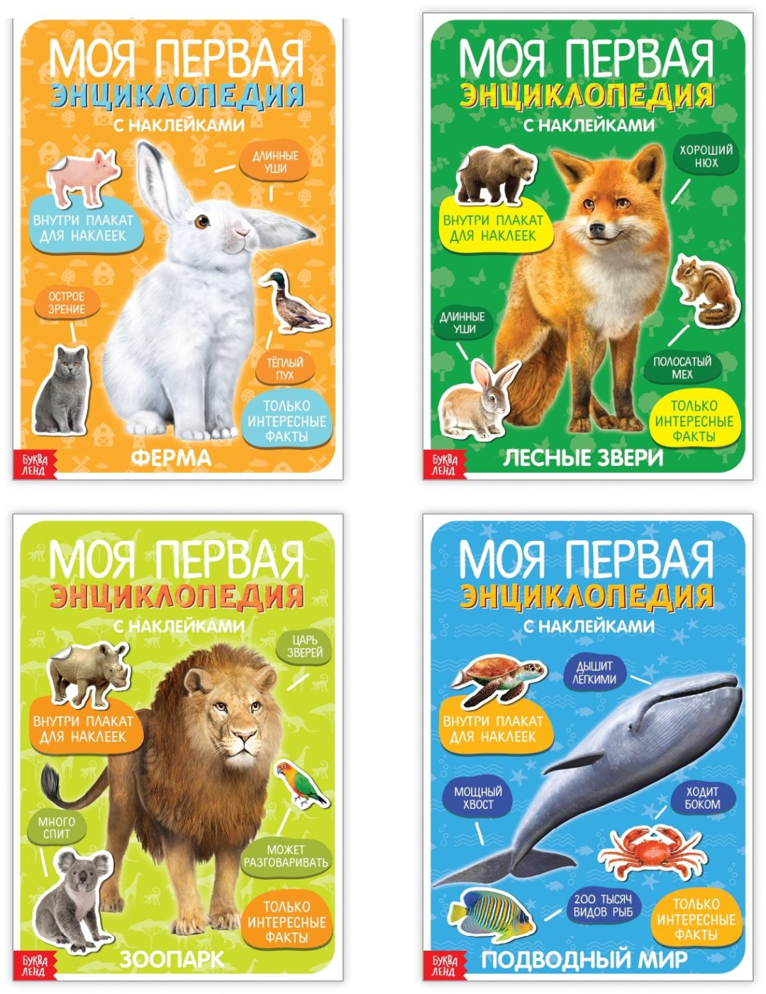 Книга Е.Сачкова: Первые энциклопедии малыша купить,NaN