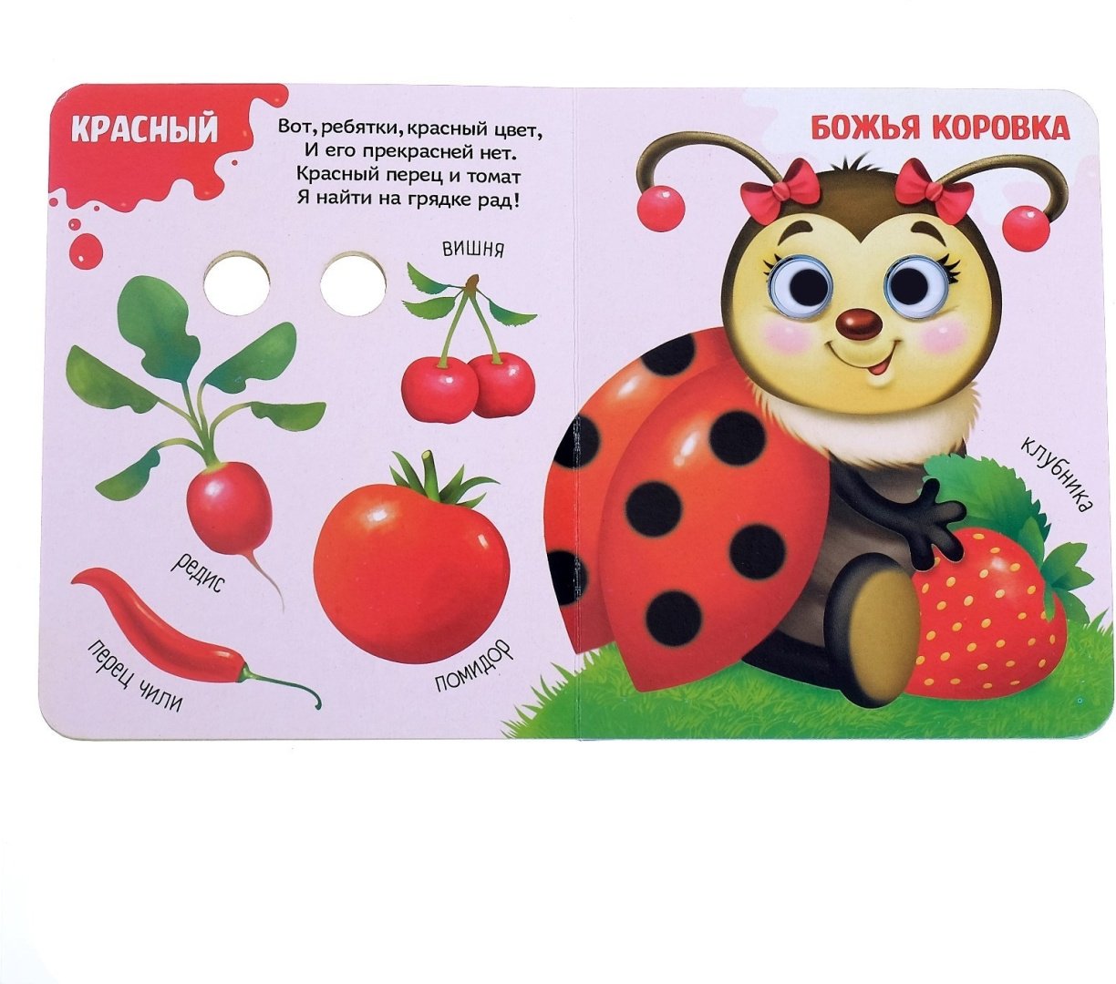 Книга Е.Сачкова: Цвета и режим дня купить,NaN