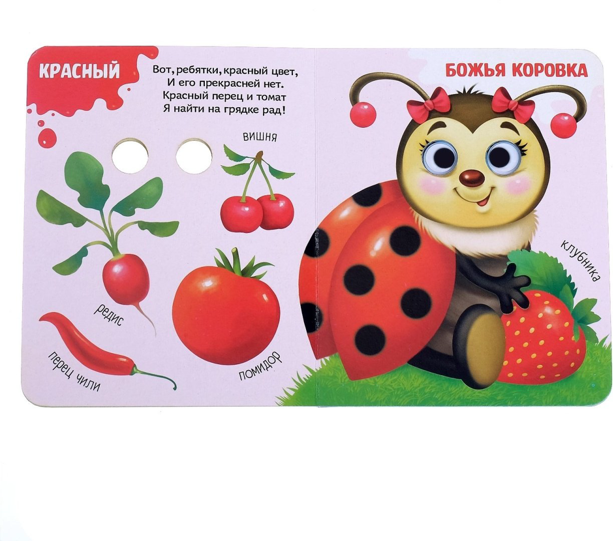 Книга Е.Сачкова: Цвета и режим дня купить,NaN
