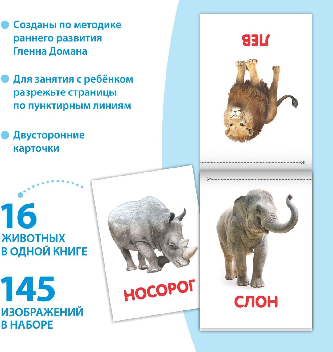 Книга Е.Сачкова: Карточки Домана на скрепке купить,NaN