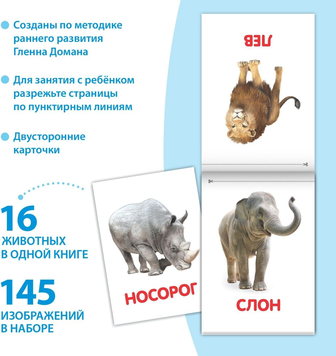 Книга Е.Сачкова: Карточки Домана на скрепке купить,NaN