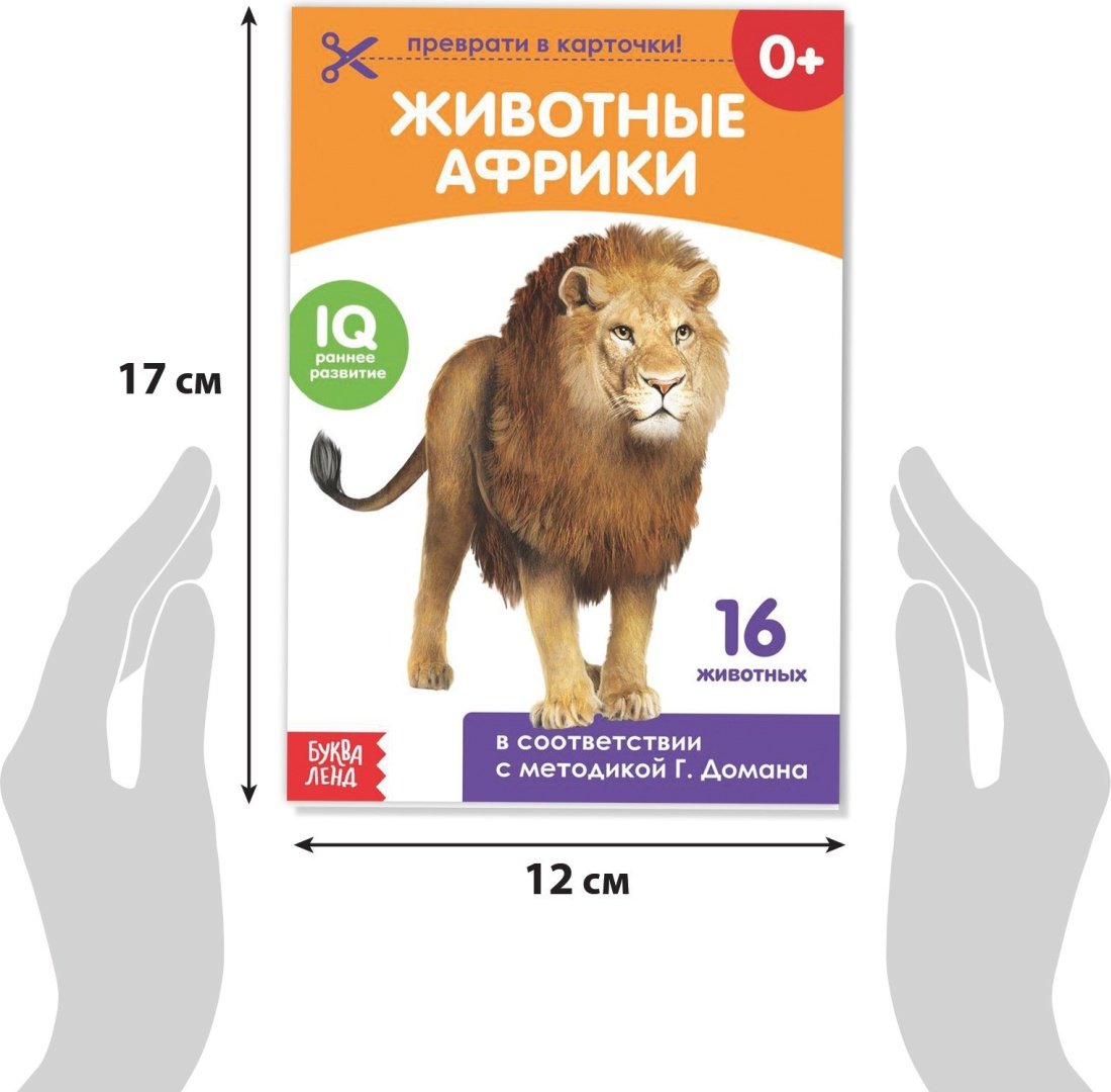 Книга Е.Сачкова: Карточки Домана на скрепке купить,NaN