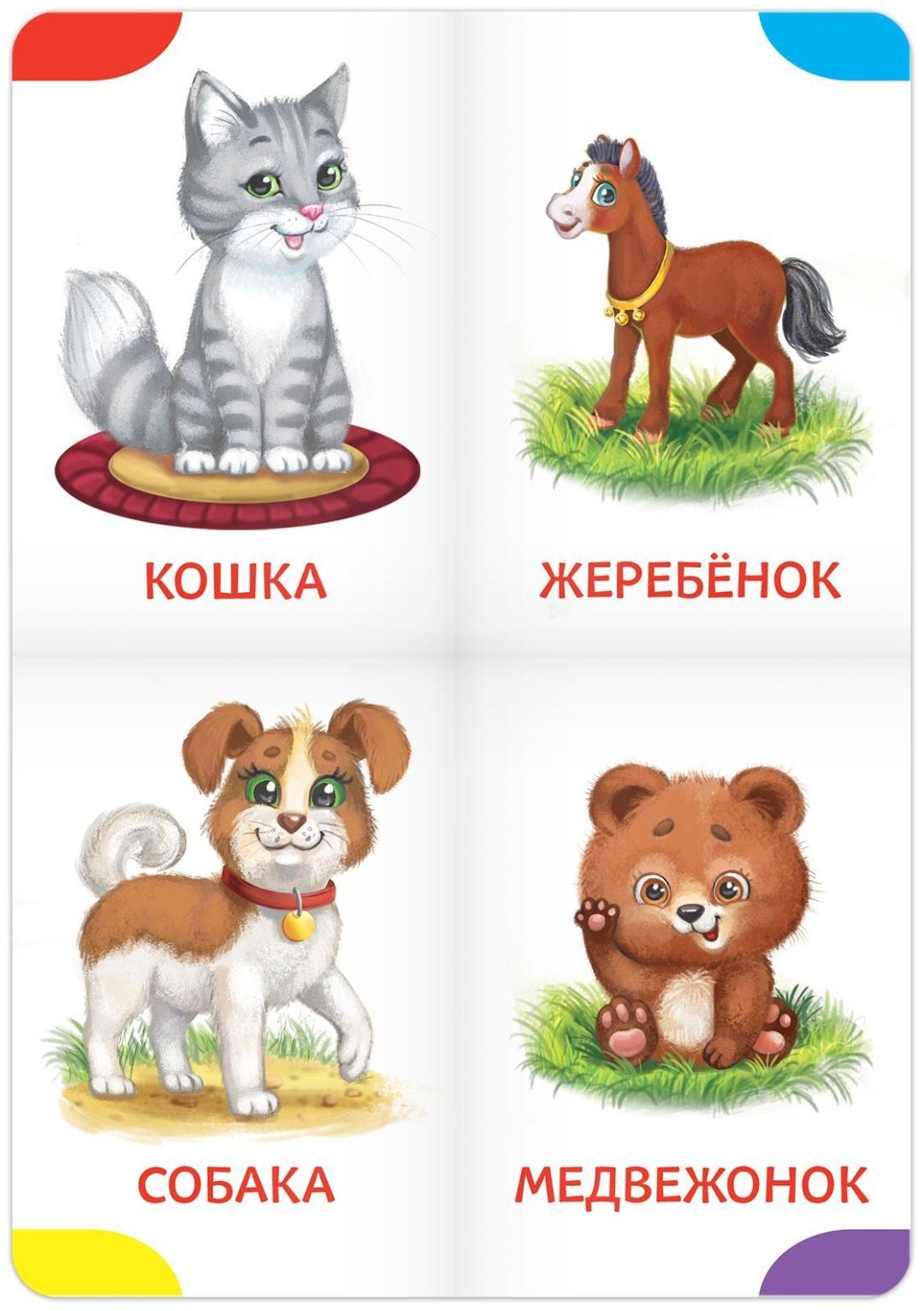 Книга Е.Сачкова: Книги-лото купить,NaN