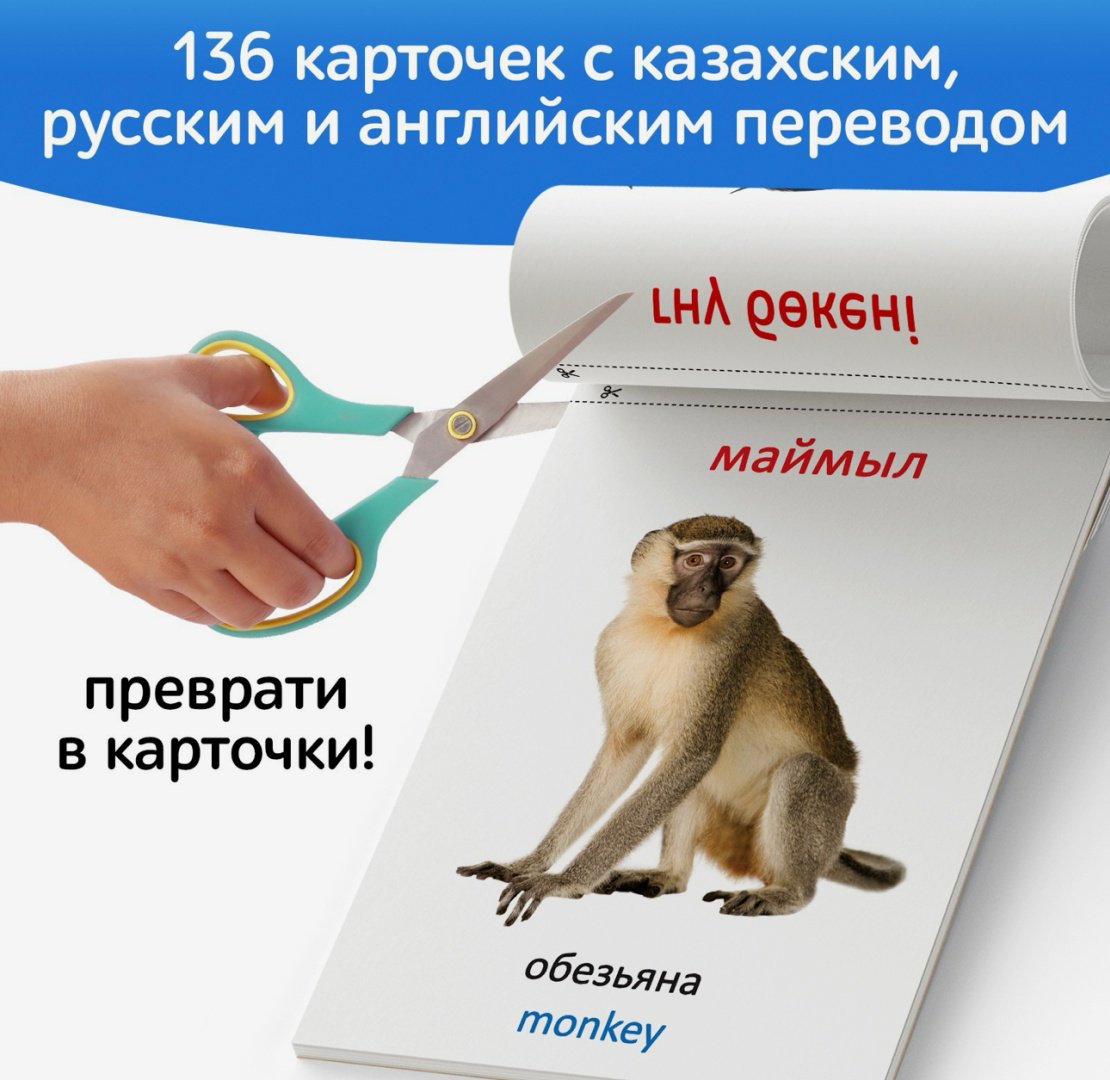 Карточки Буква-ленд Карточки Домана на казахском языке