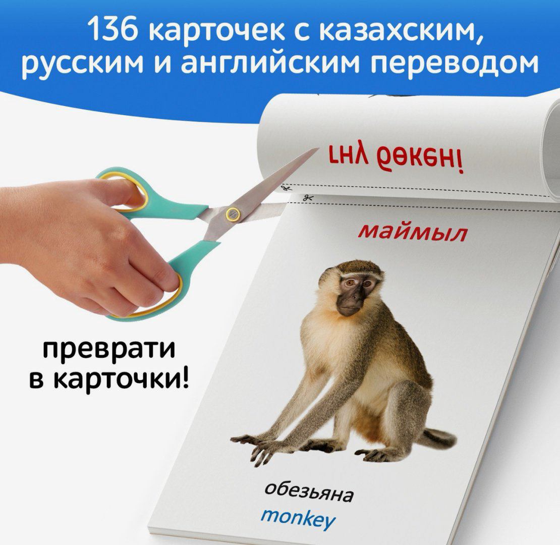 Карточки Буква-ленд Карточки Домана на казахском языке купить,NaN