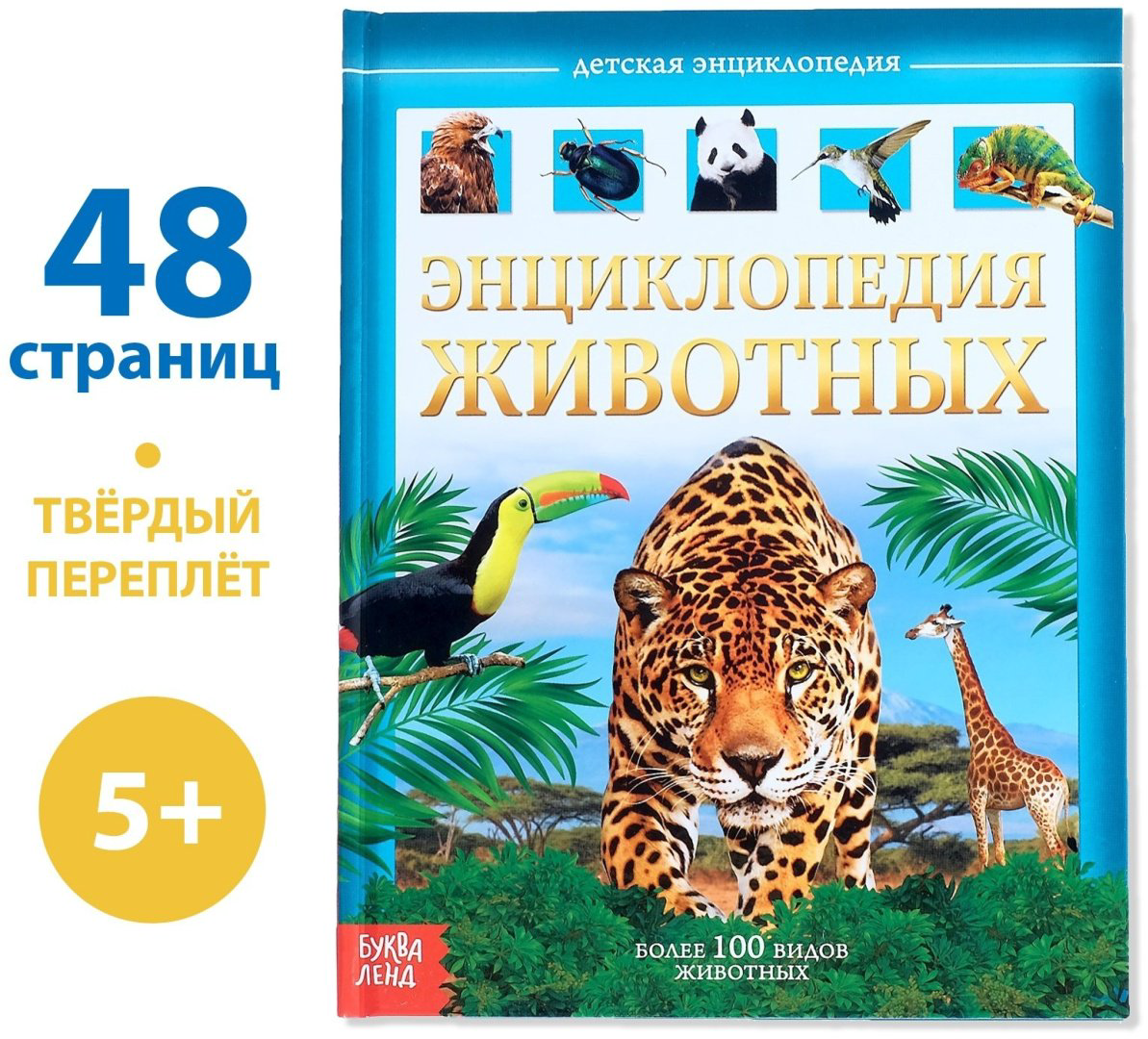 Книга Е.Сачкова: Животные - ForteMarket Книга Е.Сачкова: Животные купить,NaN