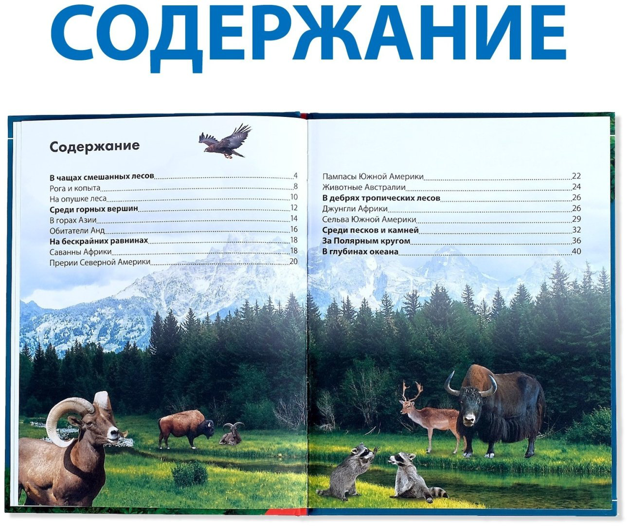 Книга Е.Сачкова: Животные - ForteMarket Книга Е.Сачкова: Животные купить,NaN