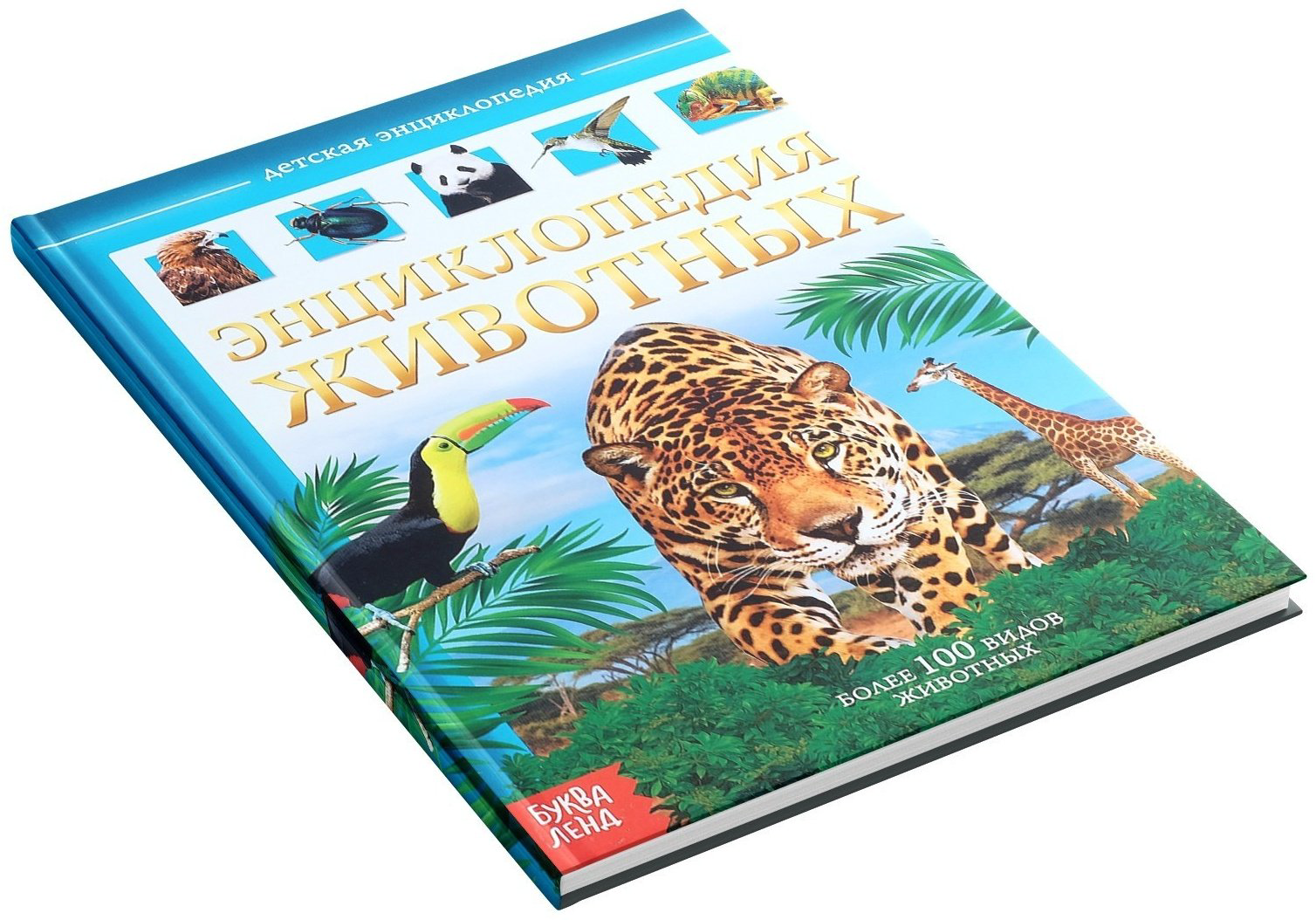 Книга Е.Сачкова: Животные - ForteMarket Книга Е.Сачкова: Животные купить,NaN