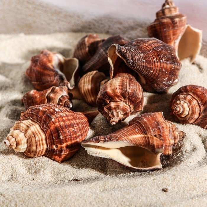 Грунт Пижон натуральный 1002245 100 г