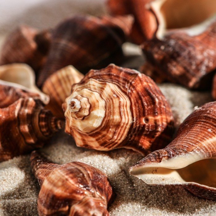 Грунт Пижон натуральный 1002245 100 г