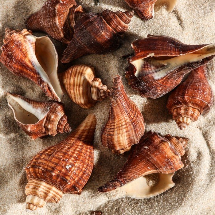 Грунт Пижон натуральный 1002245 100 г