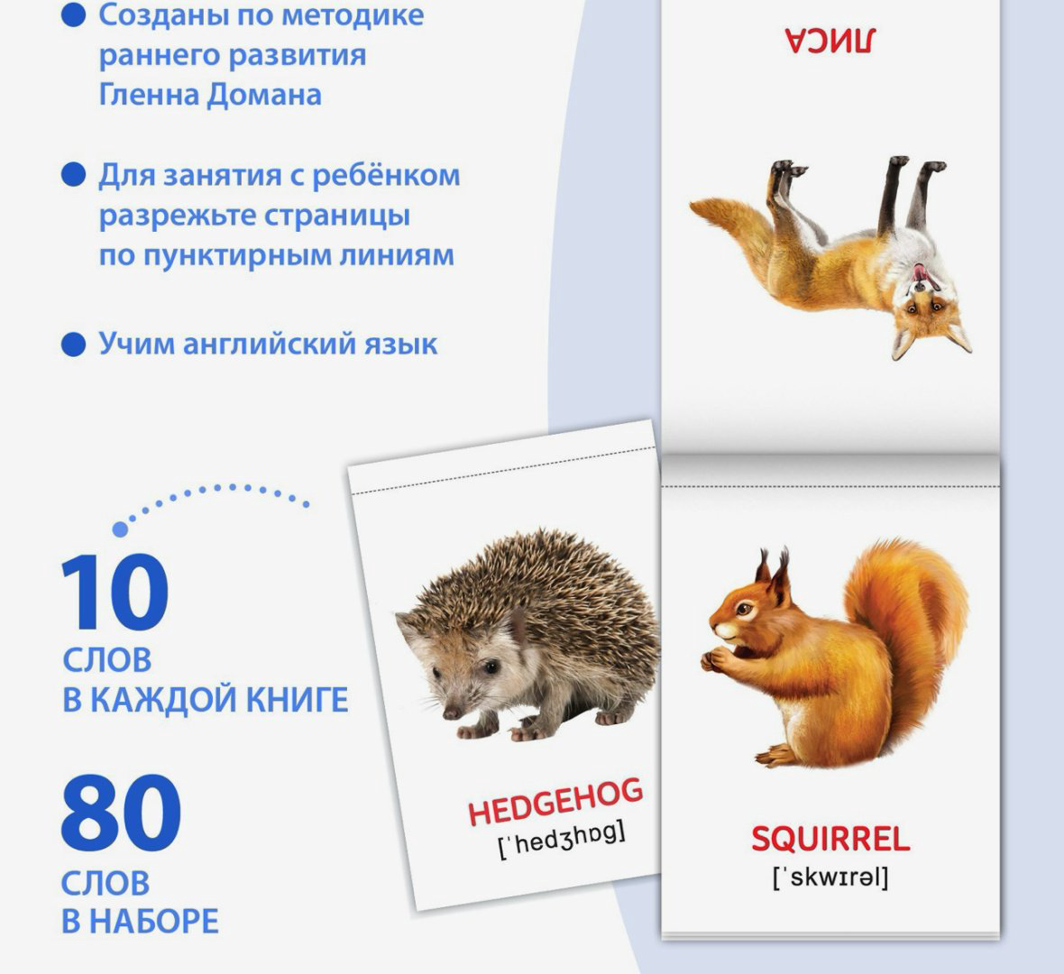 Книга Сачкова Е.: Карточки Домана на английском языке купить,NaN