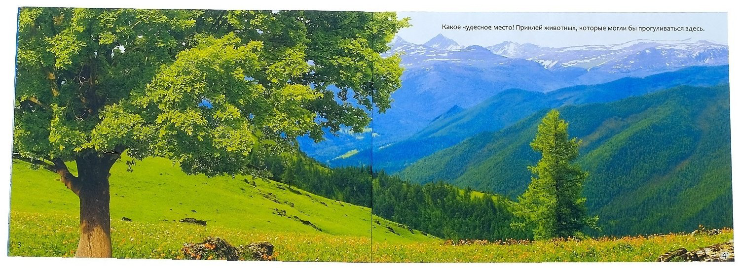 Наклейки Буква-ленд 3602546 купить,NaN