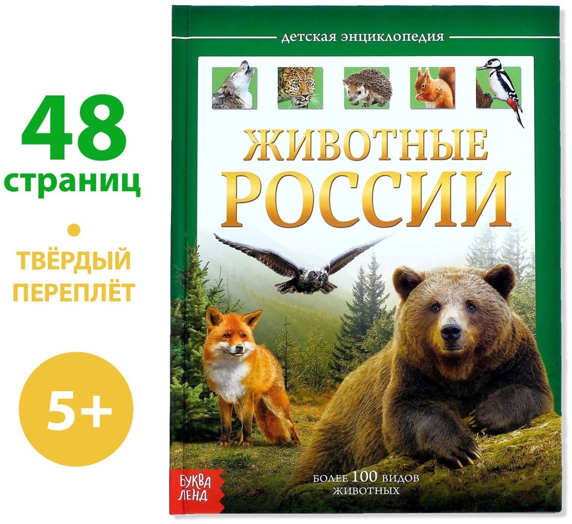 Книга Е.Сачкова: Животные России купить,NaN