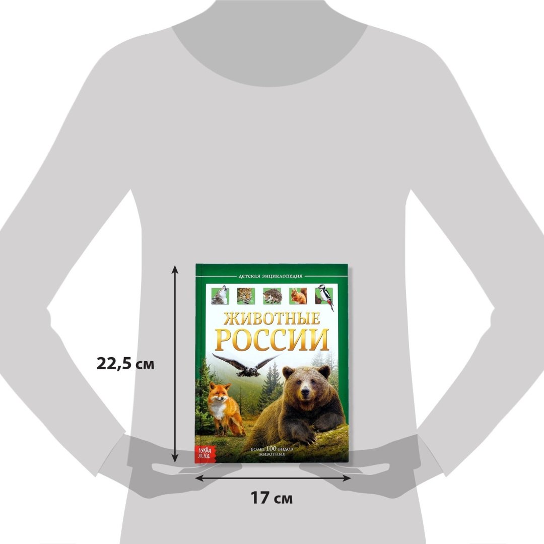 Книга Е.Сачкова: Животные России купить,NaN