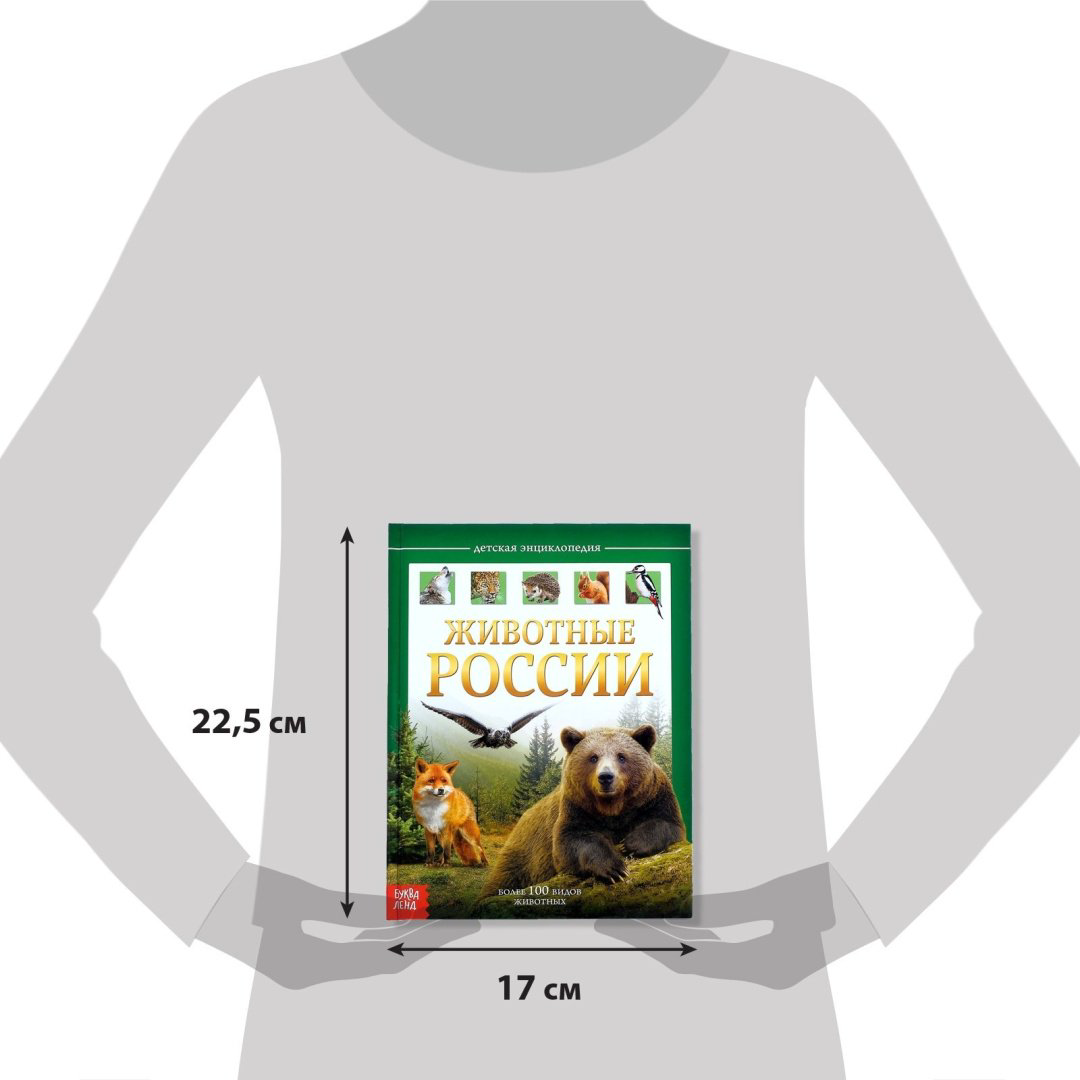 Книга Е.Сачкова: Животные России купить,NaN