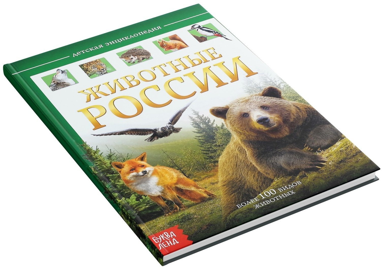 Книга Е.Сачкова: Животные России купить,NaN