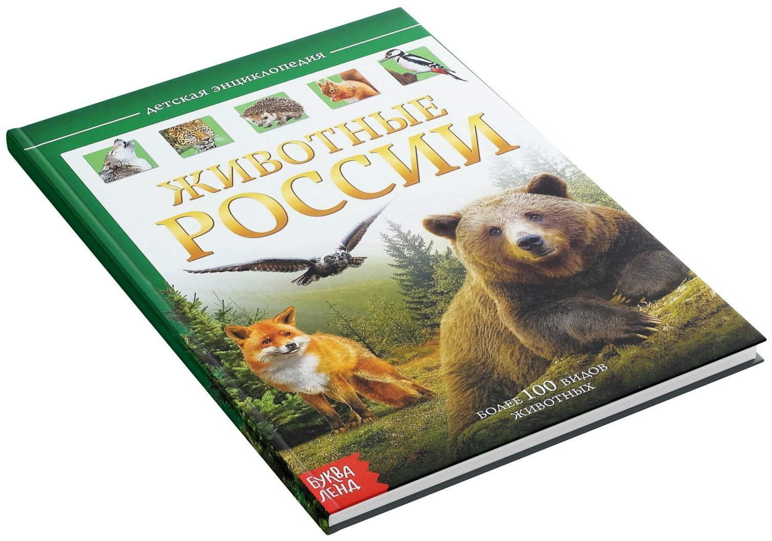 Книга Е.Сачкова: Животные России купить,NaN