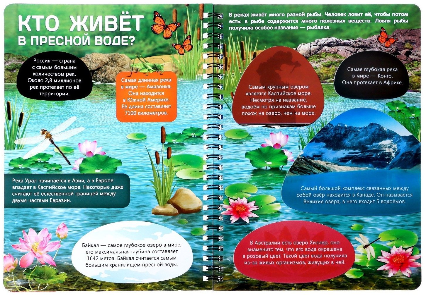 Книга Бажева А.: Жизнь на земле. Животные и где они обитают купить,NaN