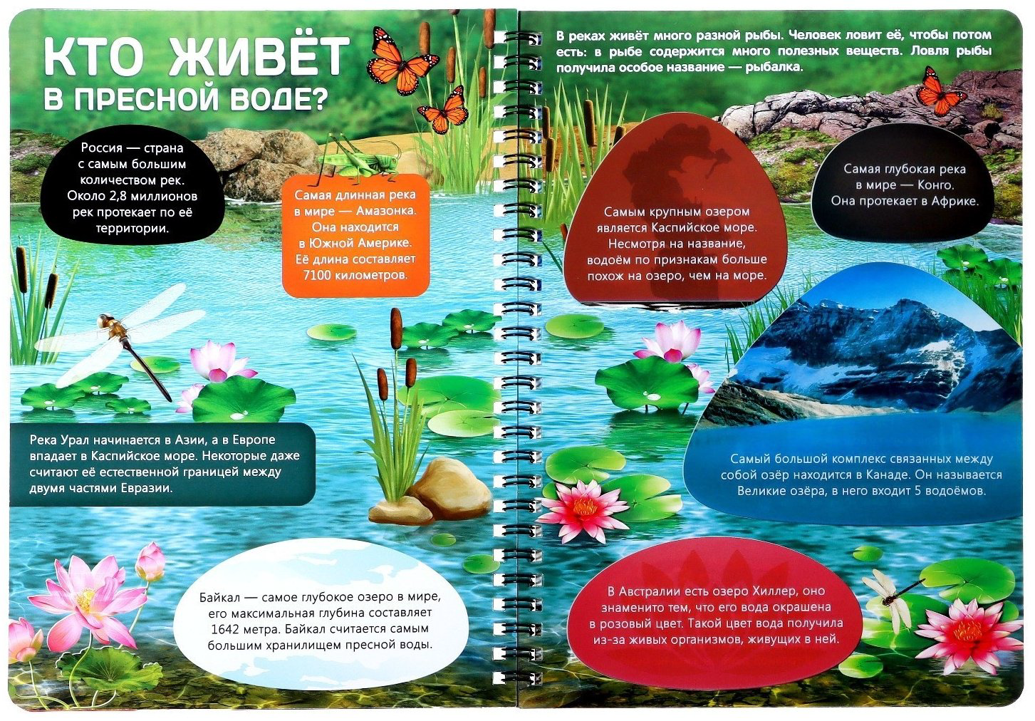 Книга Бажева А.: Жизнь на земле. Животные и где они обитают купить,NaN