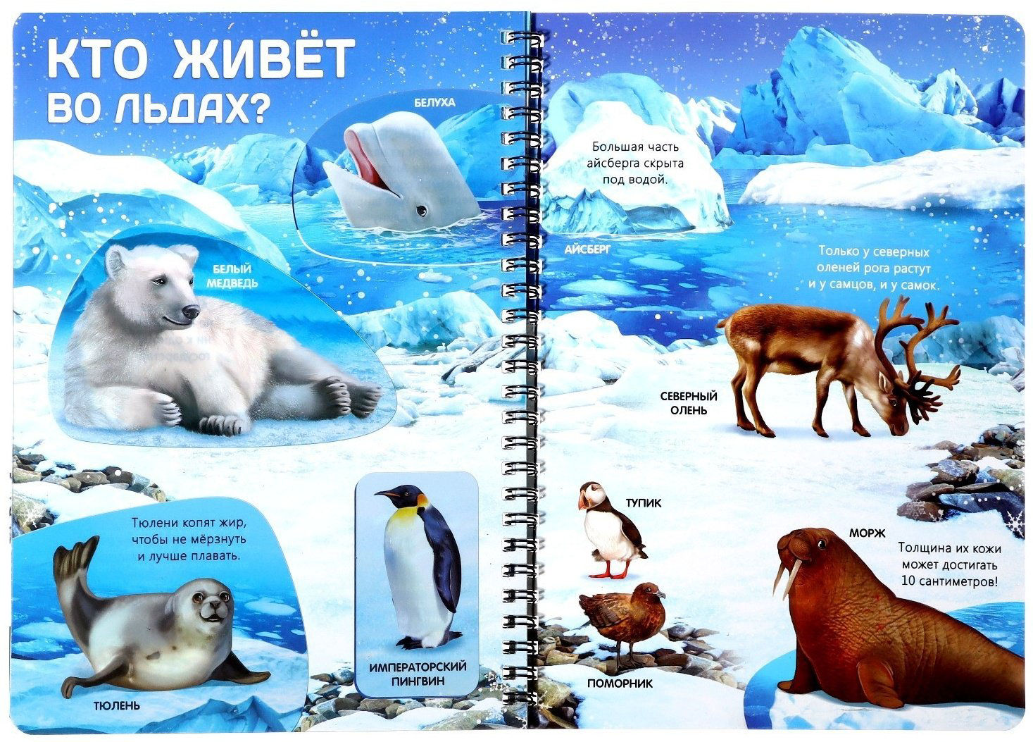 Книга Бажева А.: Жизнь на земле. Животные и где они обитают купить,NaN