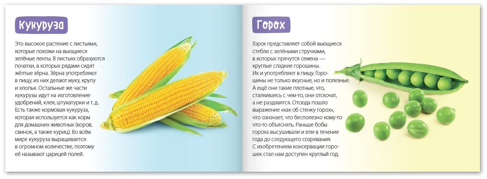 Книга Е.Сачкова: Про всё на свете купить,NaN