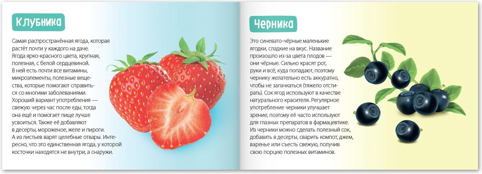 Книга Е.Сачкова: Про всё на свете купить,NaN
