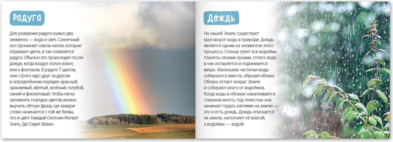 Книга Е.Сачкова: Про всё на свете купить,NaN
