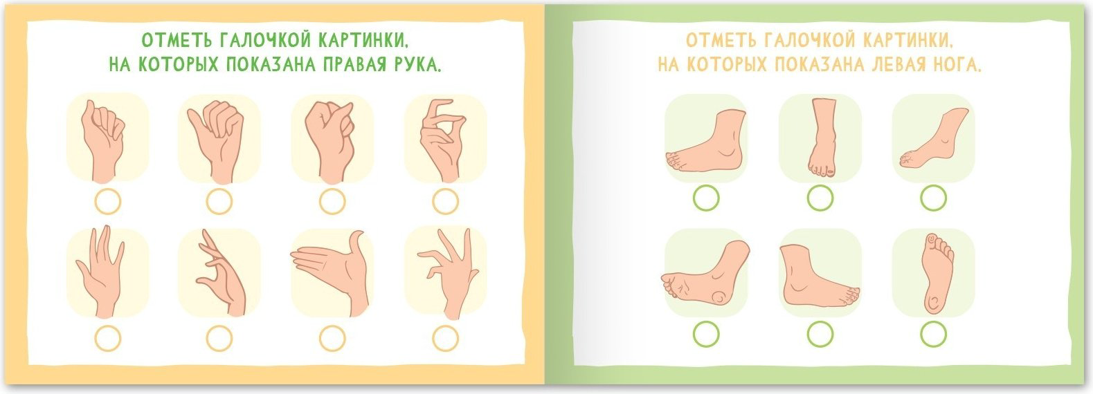 Книга Е.Сачкова: Найди лишнее и найди общее купить,NaN
