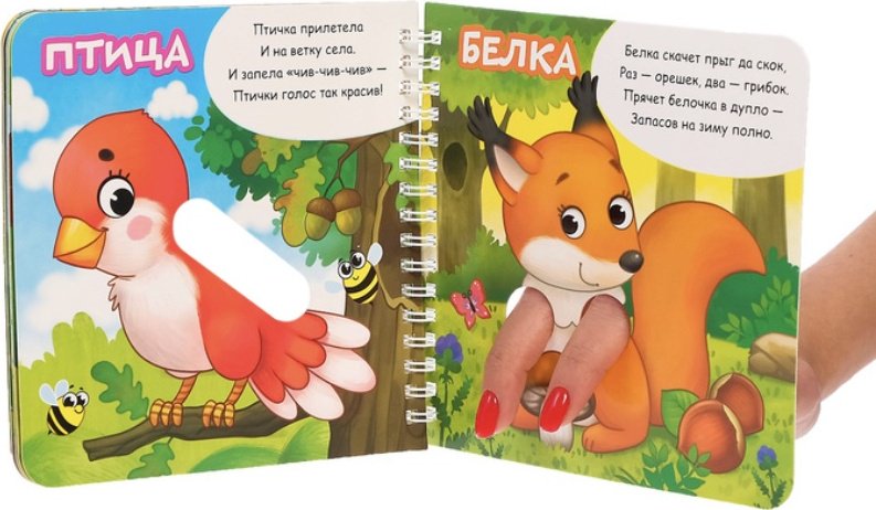 Книга Сачкова Е.: Книга картонная играем купить,NaN