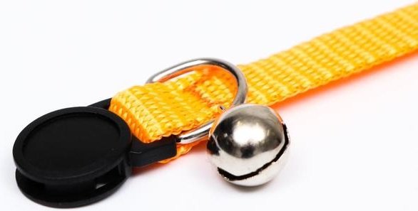 Пижон ошейник для постоянной носки универсальный оранжевый