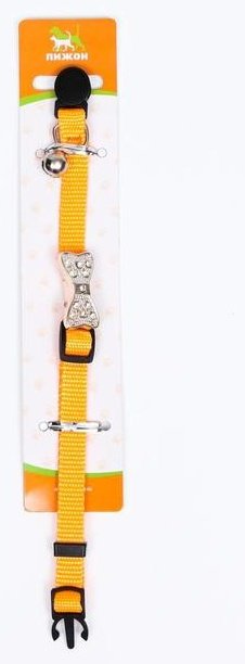 Пижон ошейник для постоянной носки универсальный оранжевый