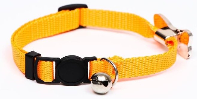 Пижон ошейник для постоянной носки универсальный оранжевый