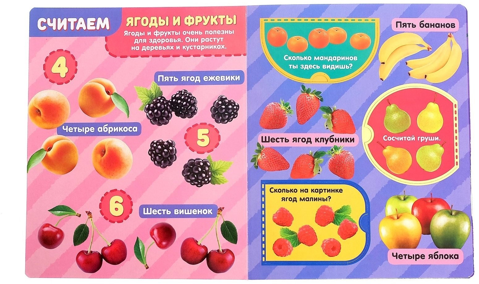 Книга Е.Сачкова: Цифры купить,NaN