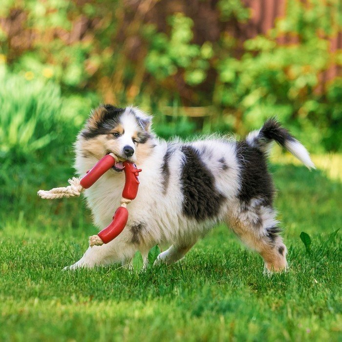 Игрушка Пижон Сосиски 1513532 красный, белый