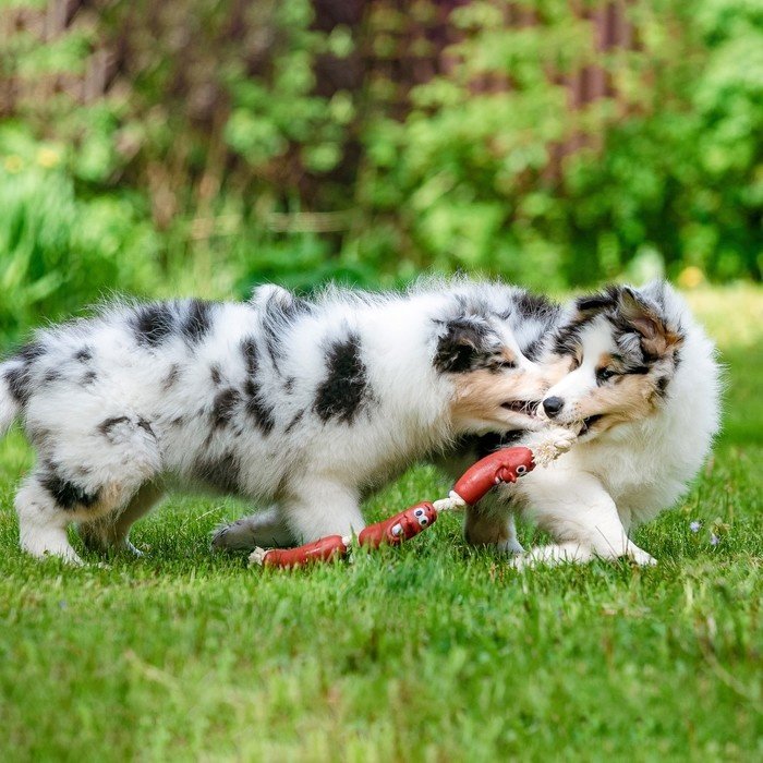 Игрушка Пижон Сосиски 1513532 красный, белый