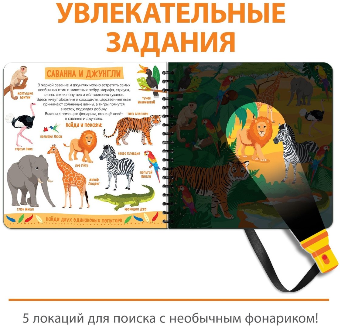 Книга Е.Сачкова: Зооленд купить,NaN